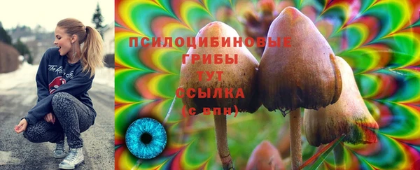 каннабис Алзамай